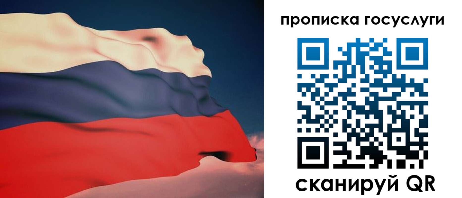 временная регистрация в Тогучине